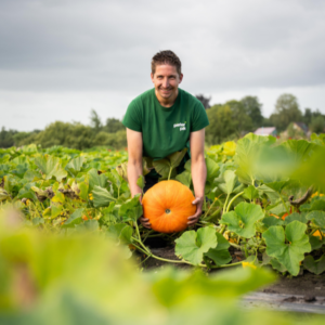 Medewerker in een landbouwveld met een geoogste pompoen als voorbeeld van teeltproduct